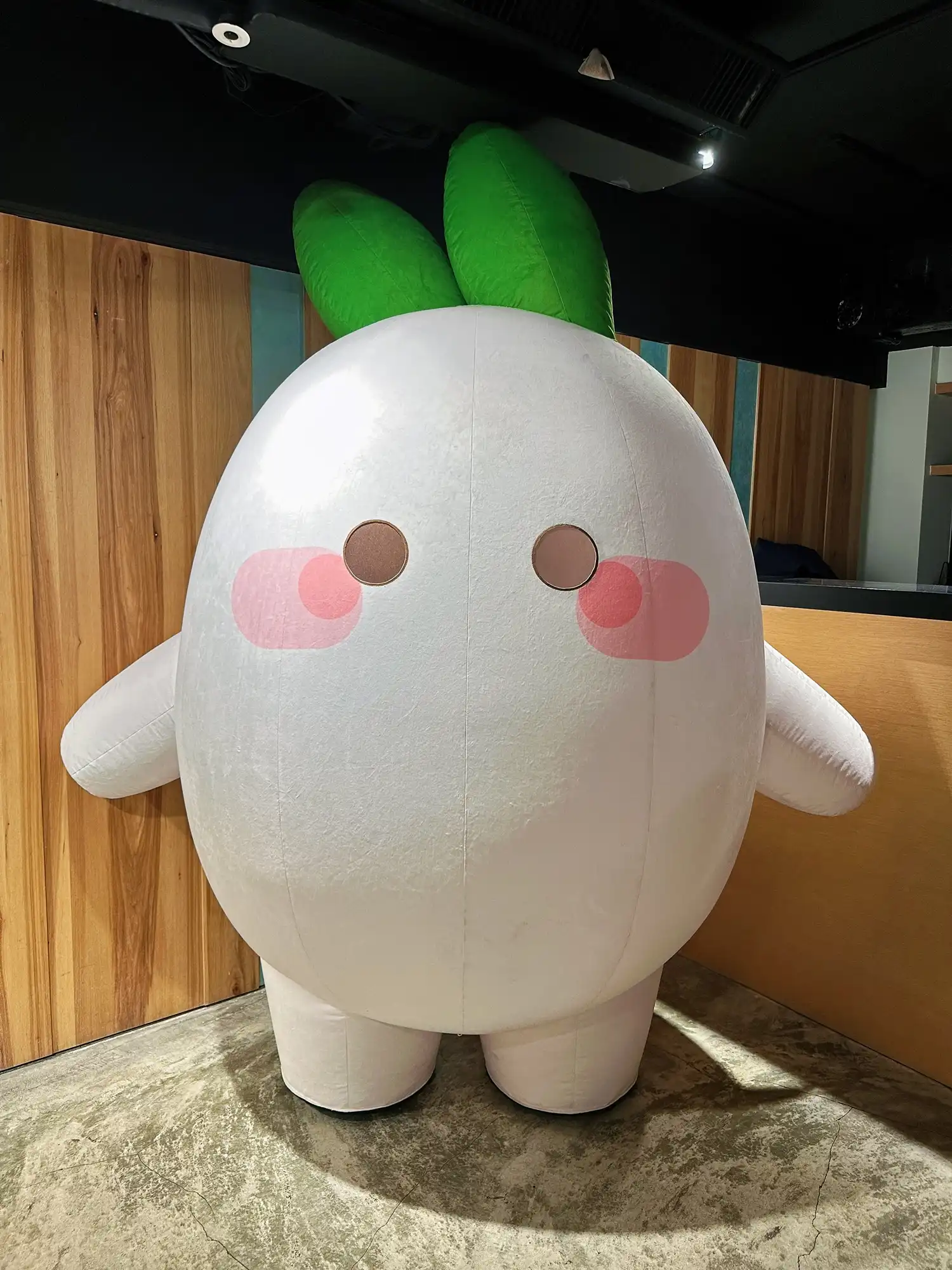 【開箱】《桃源深處有人家》× 萌番 More Fun 聯動主題餐廳！與熟悉的小蘿蔔同樂吃美食