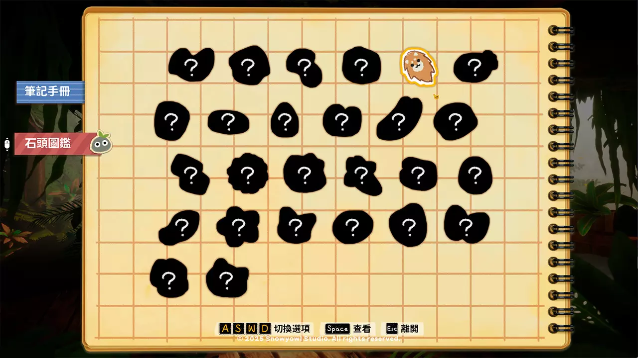 系統4
