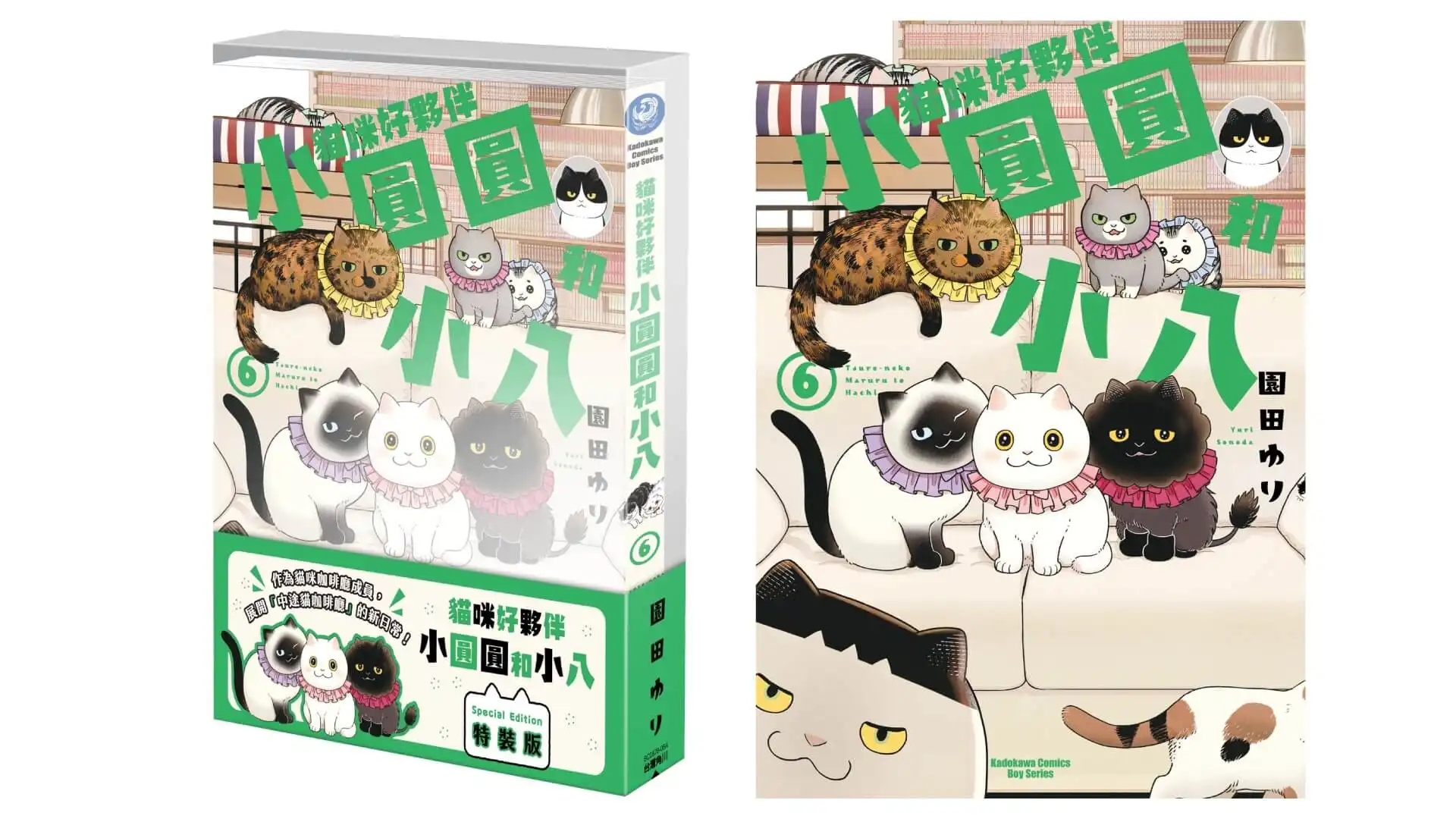 貓咪