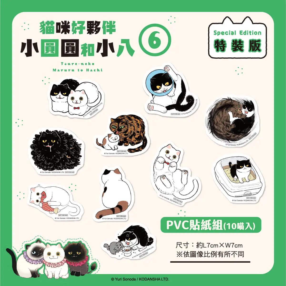 衝擊硬漢淚腺！貓奴啜泣激推！《貓咪好夥伴小圓圓和小八 (6)》 絕讚萌喵特裝版預購開跑，中文版漫畫 11 月在台發售