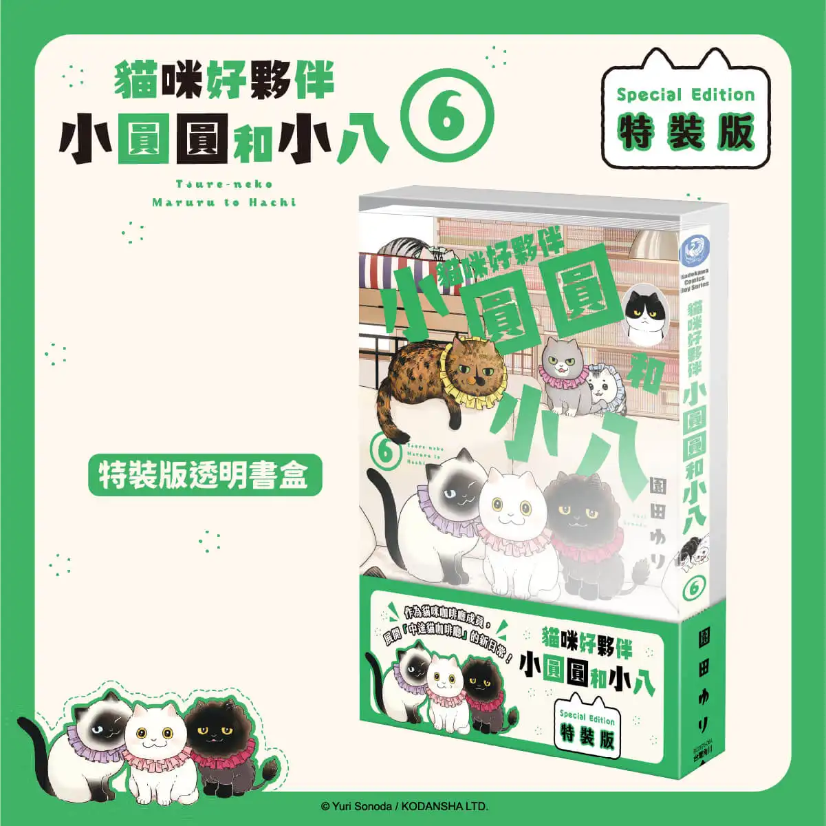 衝擊硬漢淚腺！貓奴啜泣激推！《貓咪好夥伴小圓圓和小八 (6)》 絕讚萌喵特裝版預購開跑，中文版漫畫 11 月在台發售
