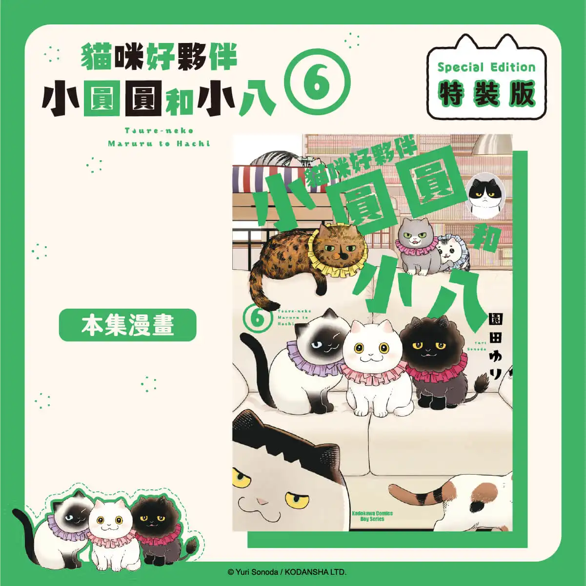 衝擊硬漢淚腺！貓奴啜泣激推！《貓咪好夥伴小圓圓和小八 (6)》 絕讚萌喵特裝版預購開跑，中文版漫畫 11 月在台發售