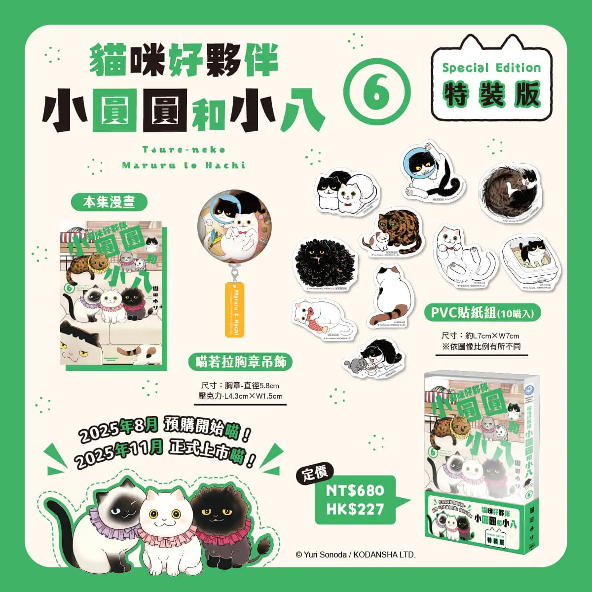 貓咪2