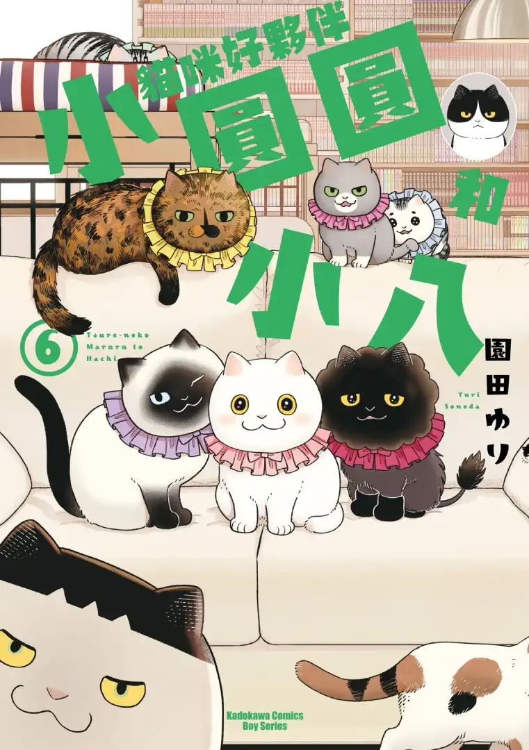 貓咪3