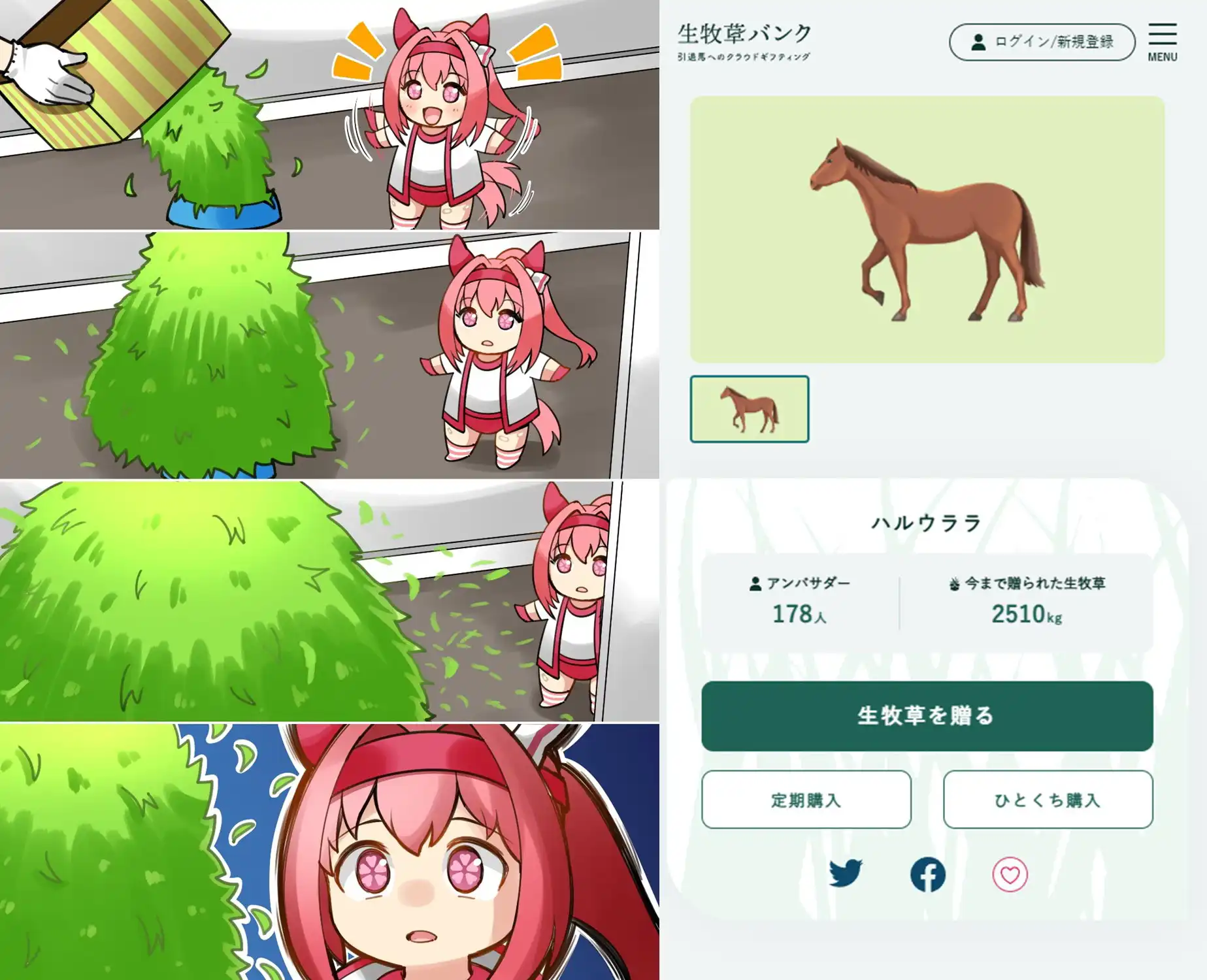 ハルウララ3