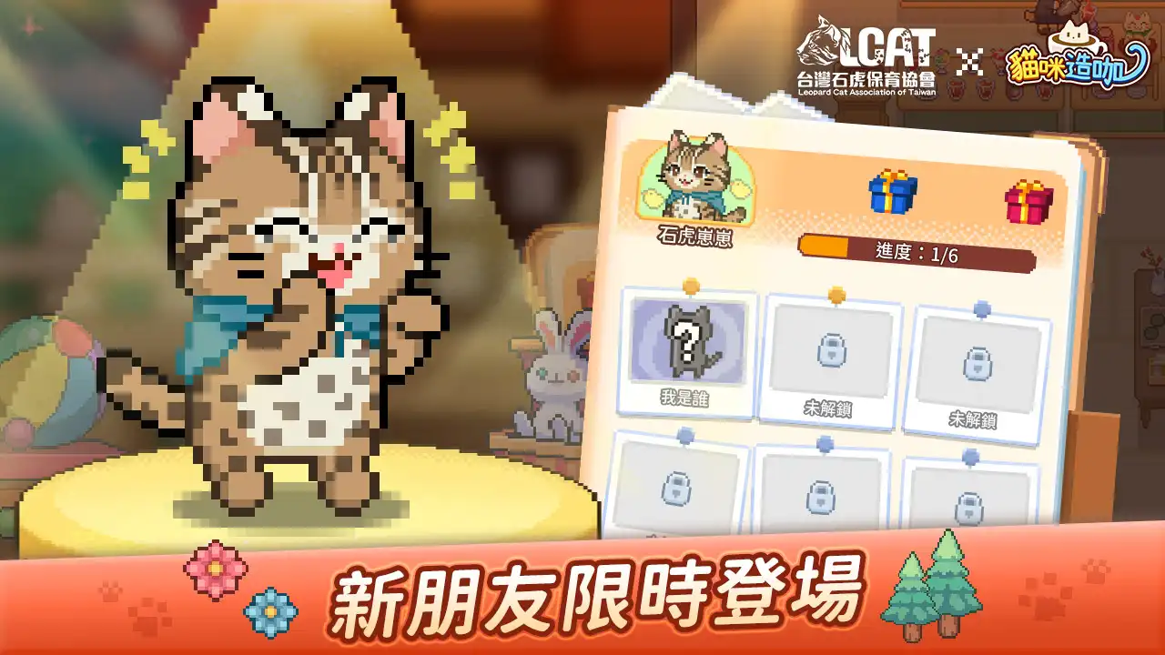 《貓咪造咖》X《台灣石虎保育協會》2