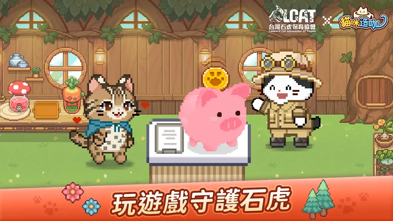 《貓咪造咖》X《台灣石虎保育協會》3