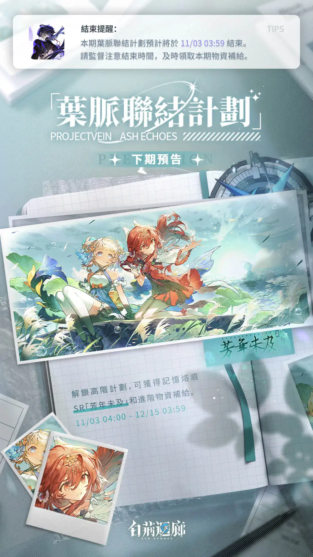 白荊迴廊 8
