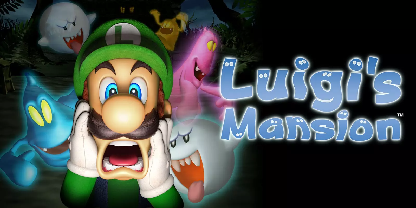 AnyConv.com__H2x1_3DS_LuigisMansion_image1600w