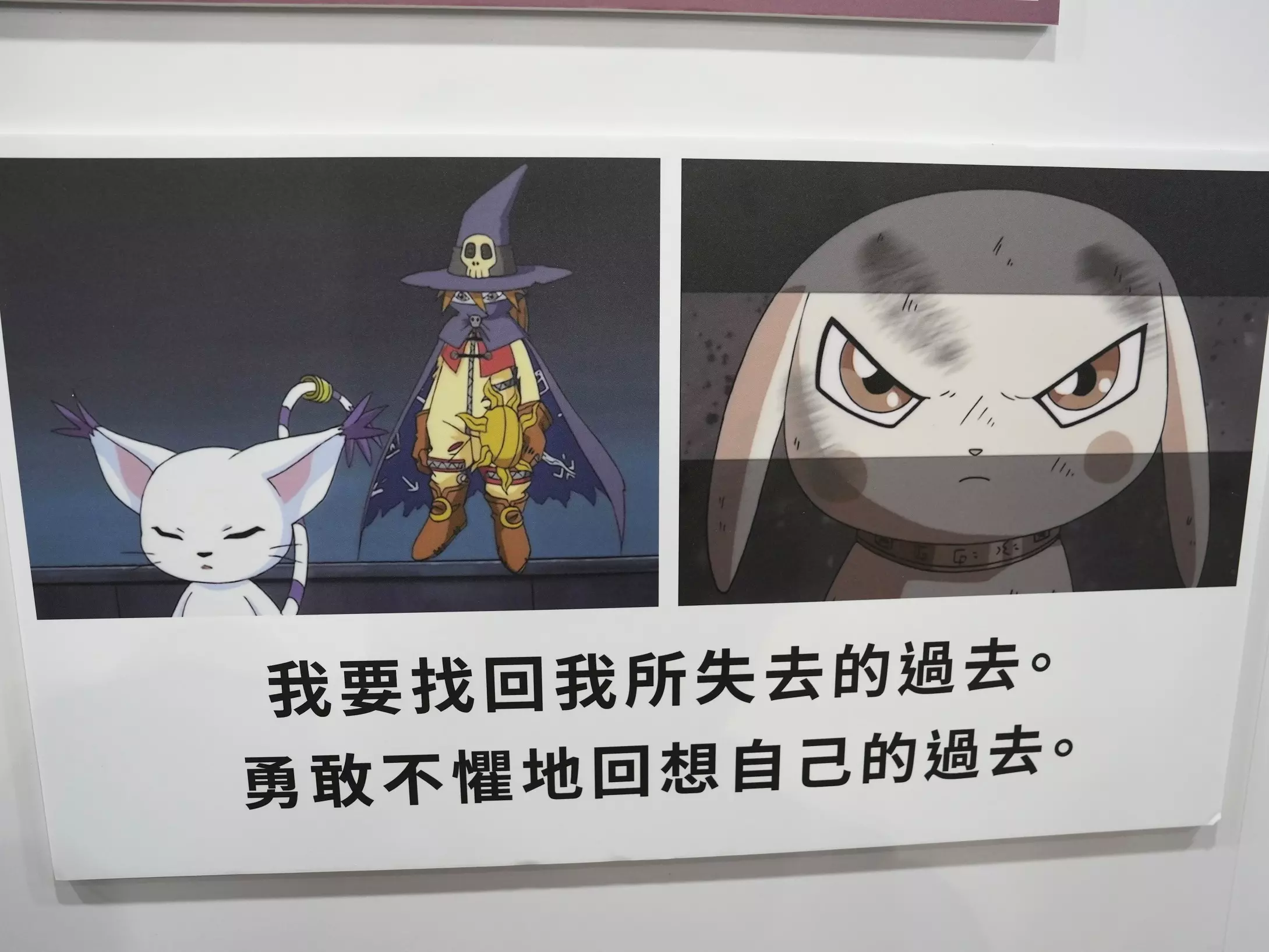 數碼寶貝 6