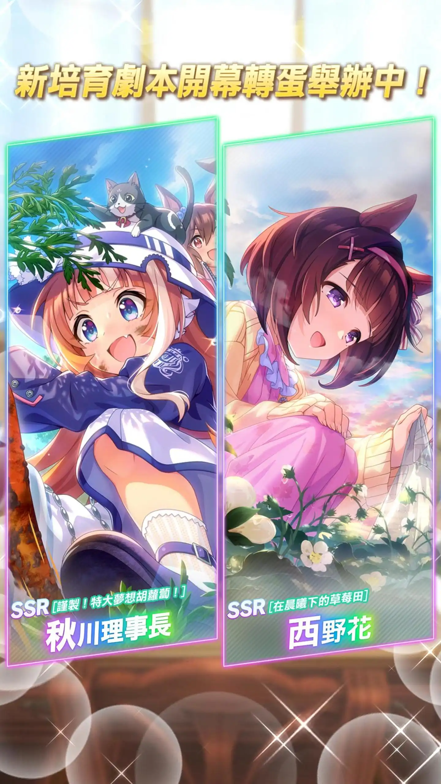 賽馬娘 Pretty Derby 3