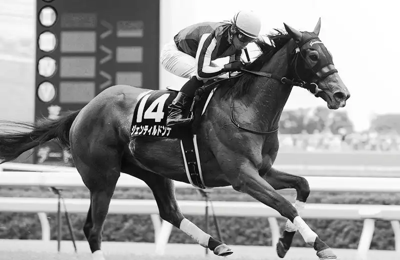 《賽馬娘 Pretty Derby》ジェンティルドンナ (貴婦人) 原型馬驟逝 結束 16 年的旅程