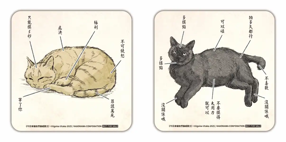 今日本貓依然貓威震主 2