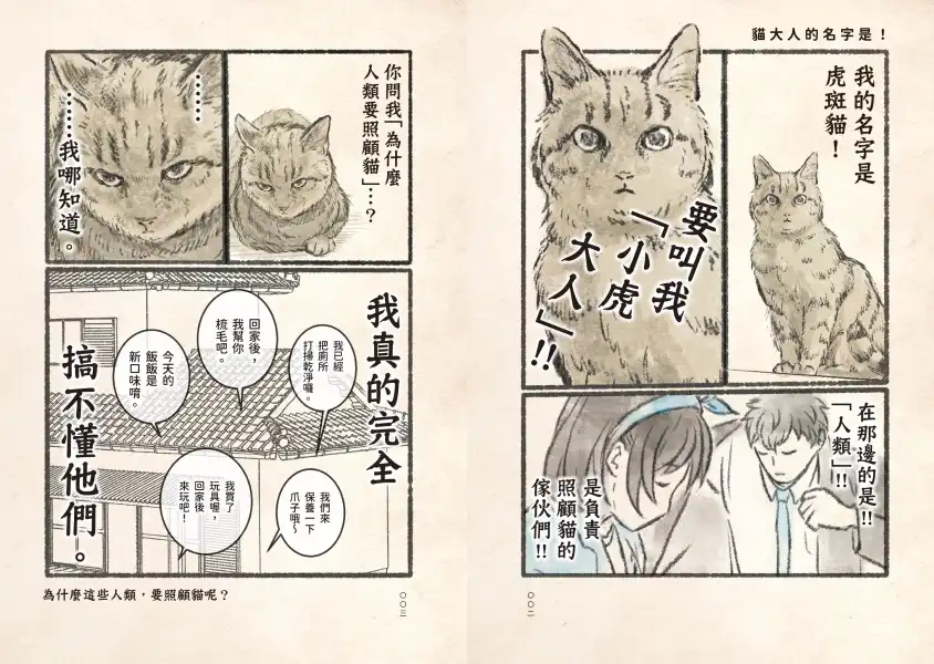 今日本貓依然貓威震主 4