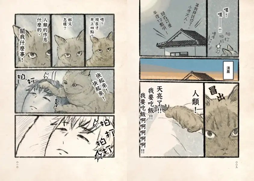 今日本貓依然貓威震主 6