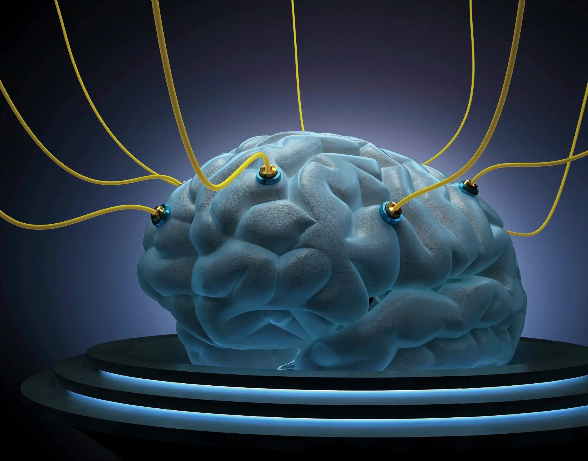 缸中之腦逐步成為現實，澳洲科學家成功訓練腦機結合晶片來遊玩《毀滅戰士》