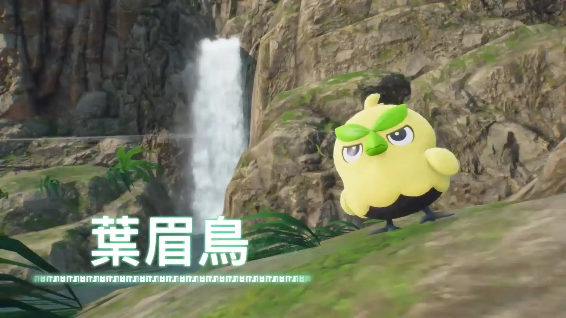 《寶可夢 風與波》新御三家公布後所誕生的超多可愛二創迷因