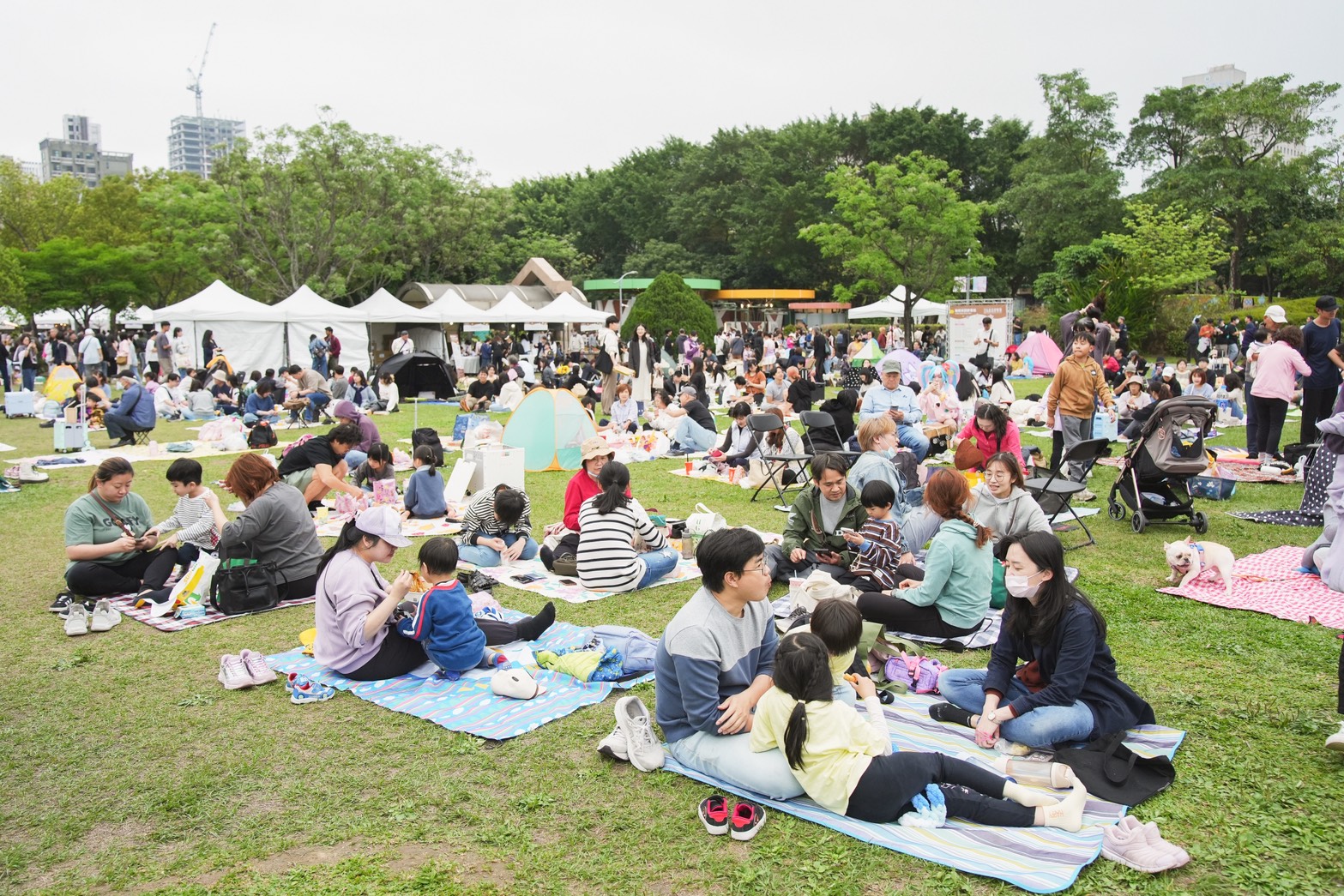 【開箱】2026 台北花伴野餐攜手《Pokémon GO》，各國美食餐籃大開箱，一齊走春樂抓寶！