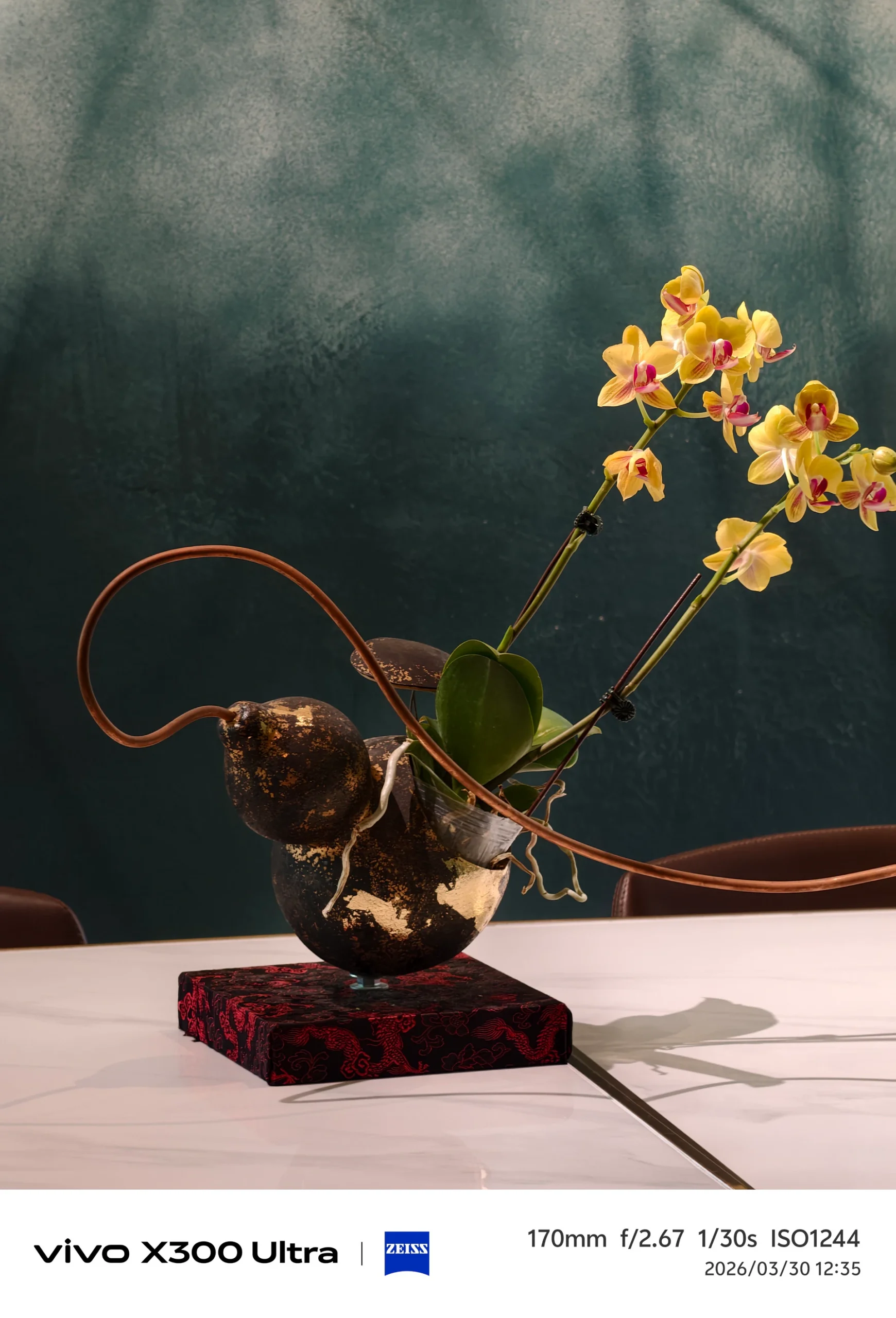 超專業錄影模式問世！手機進化成專業攝影工具　vivo X300 Ultra搶先看