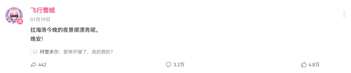 飛行雪絨 4