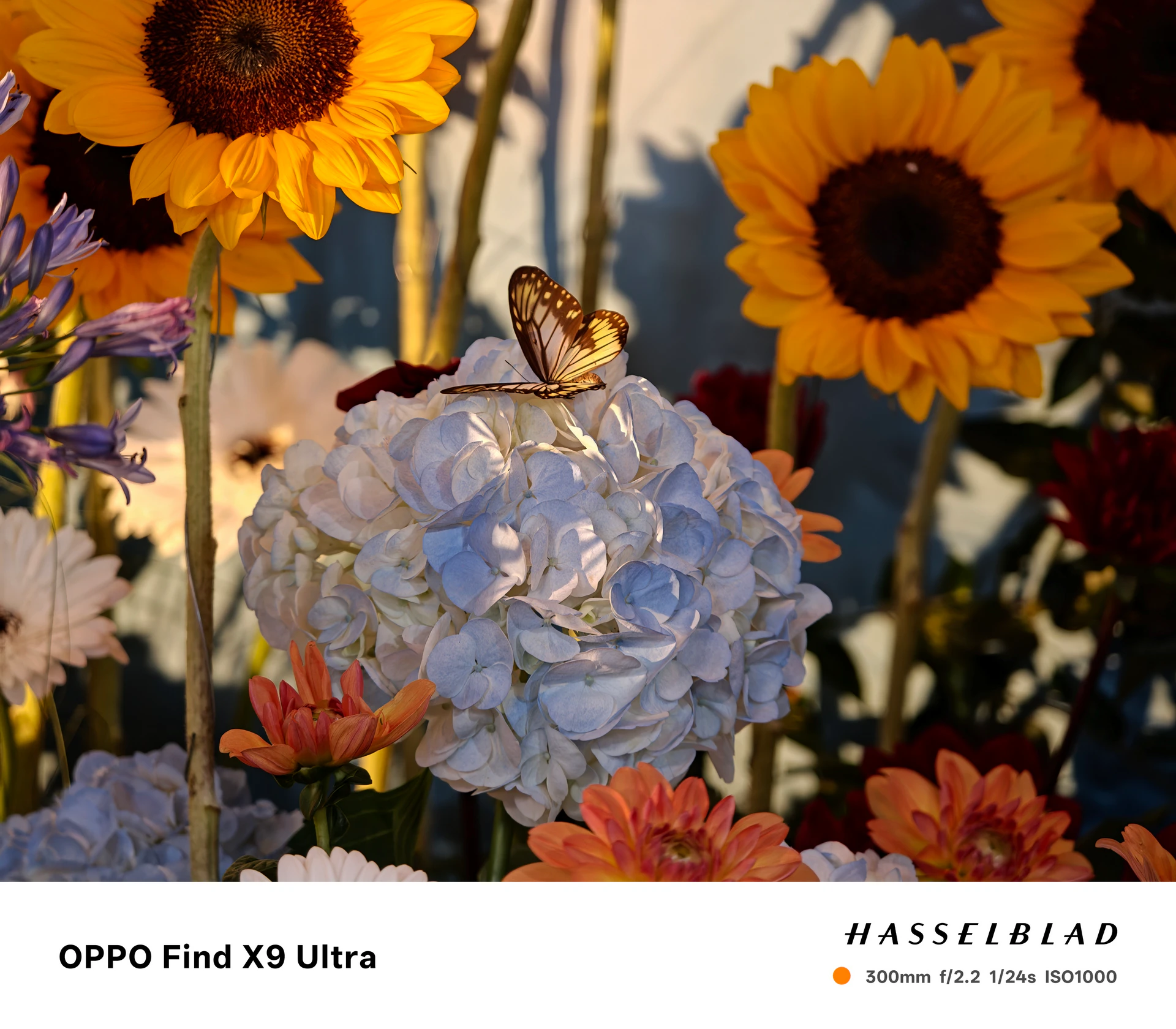 OPPO Find X9 Ultra登台　「口袋哈蘇」雙2億、10倍光學長焦直接拉滿