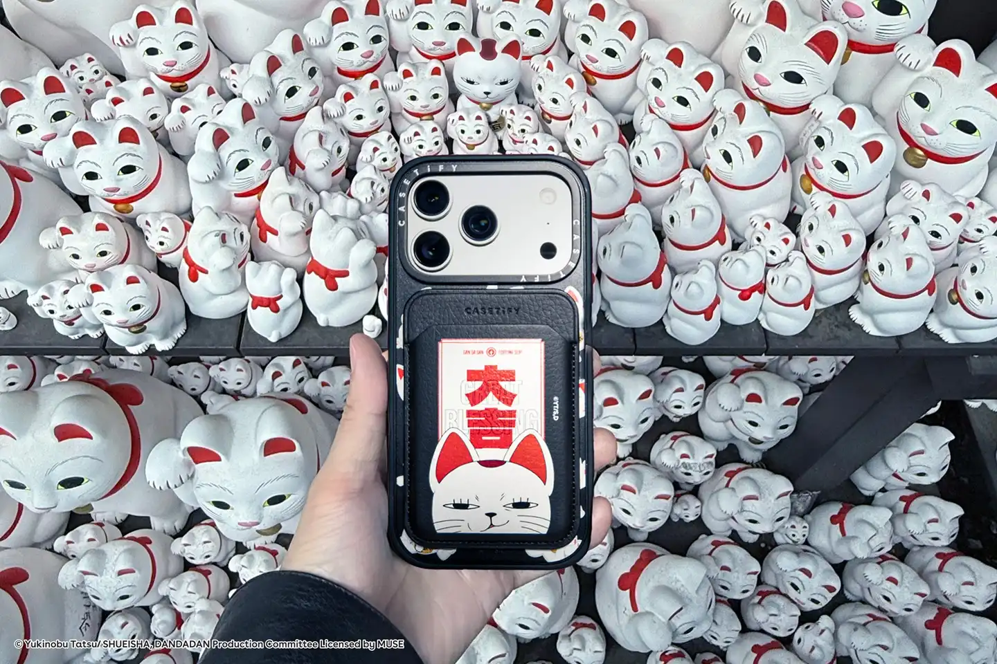 CASETiFY 12