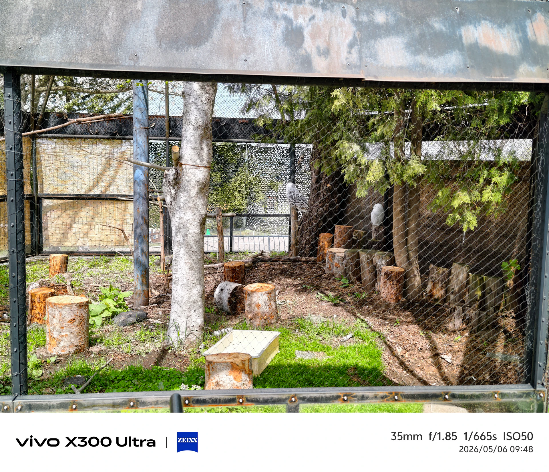 當手機不再只是手機！　vivo X300 Ultra成「放進口袋的專業影像系統」