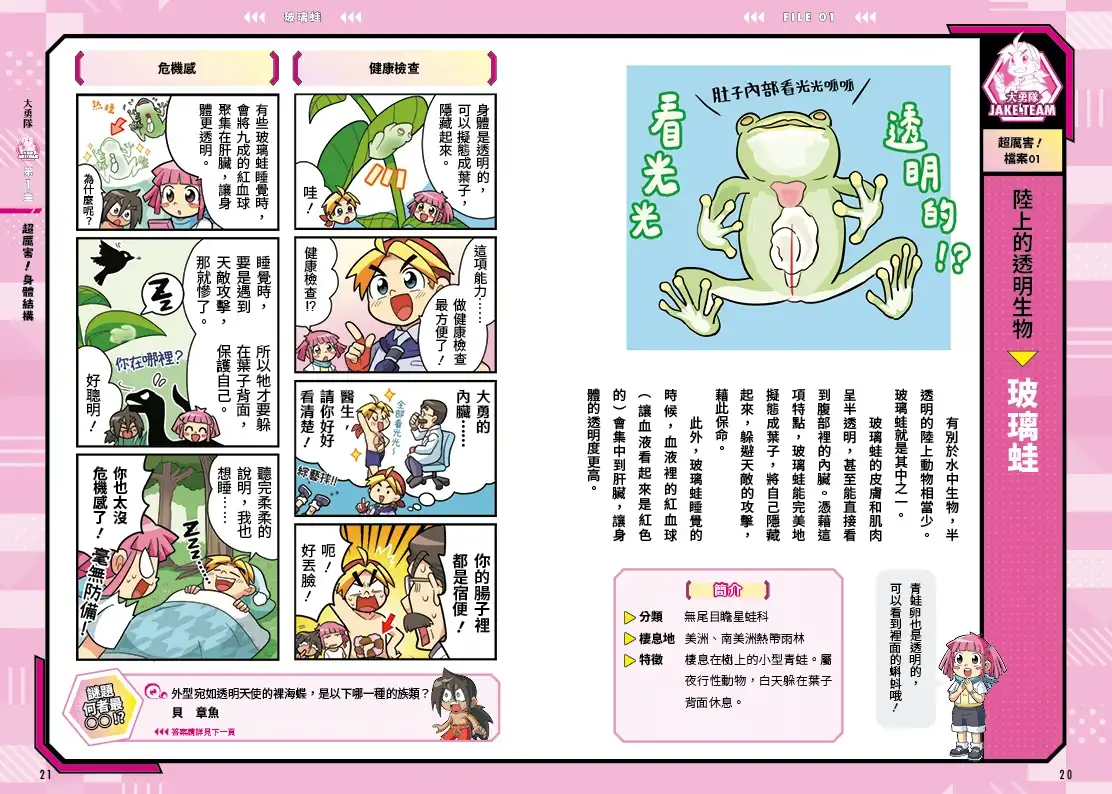 小角落文化 5