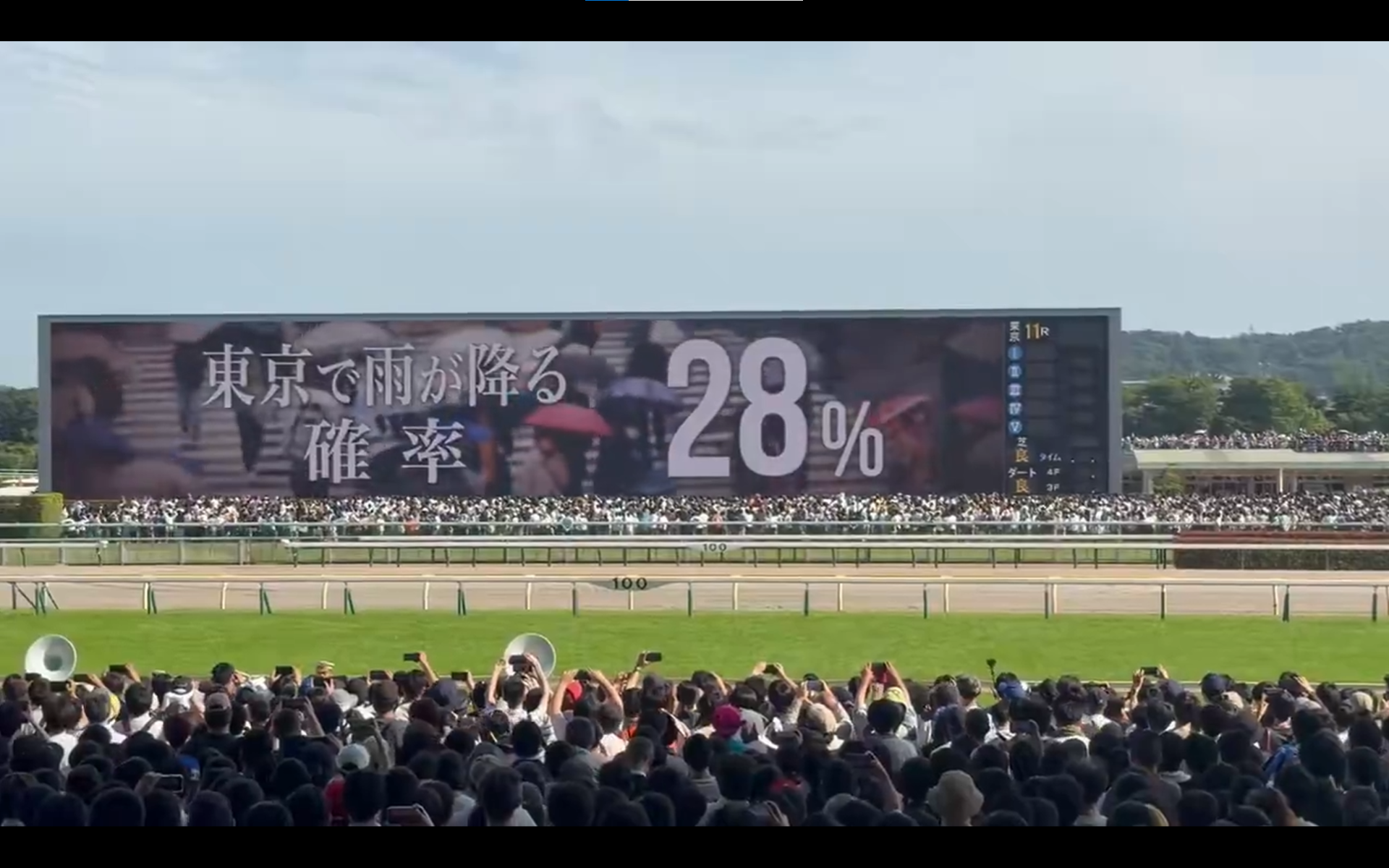 日本達比 3