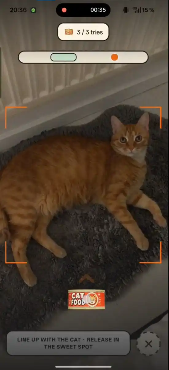 CatchCat
