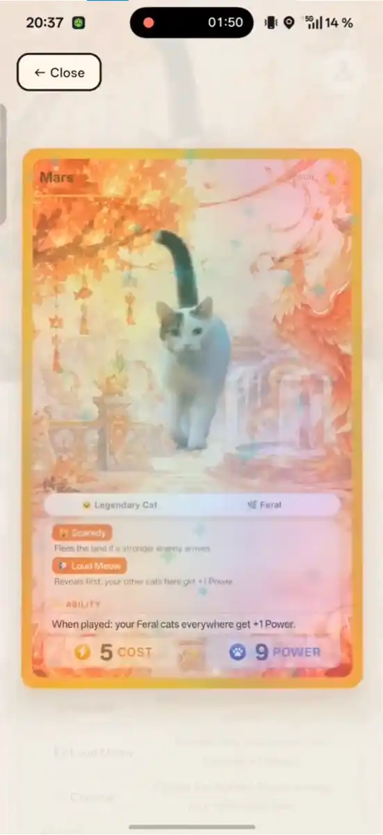 CatchCat 5