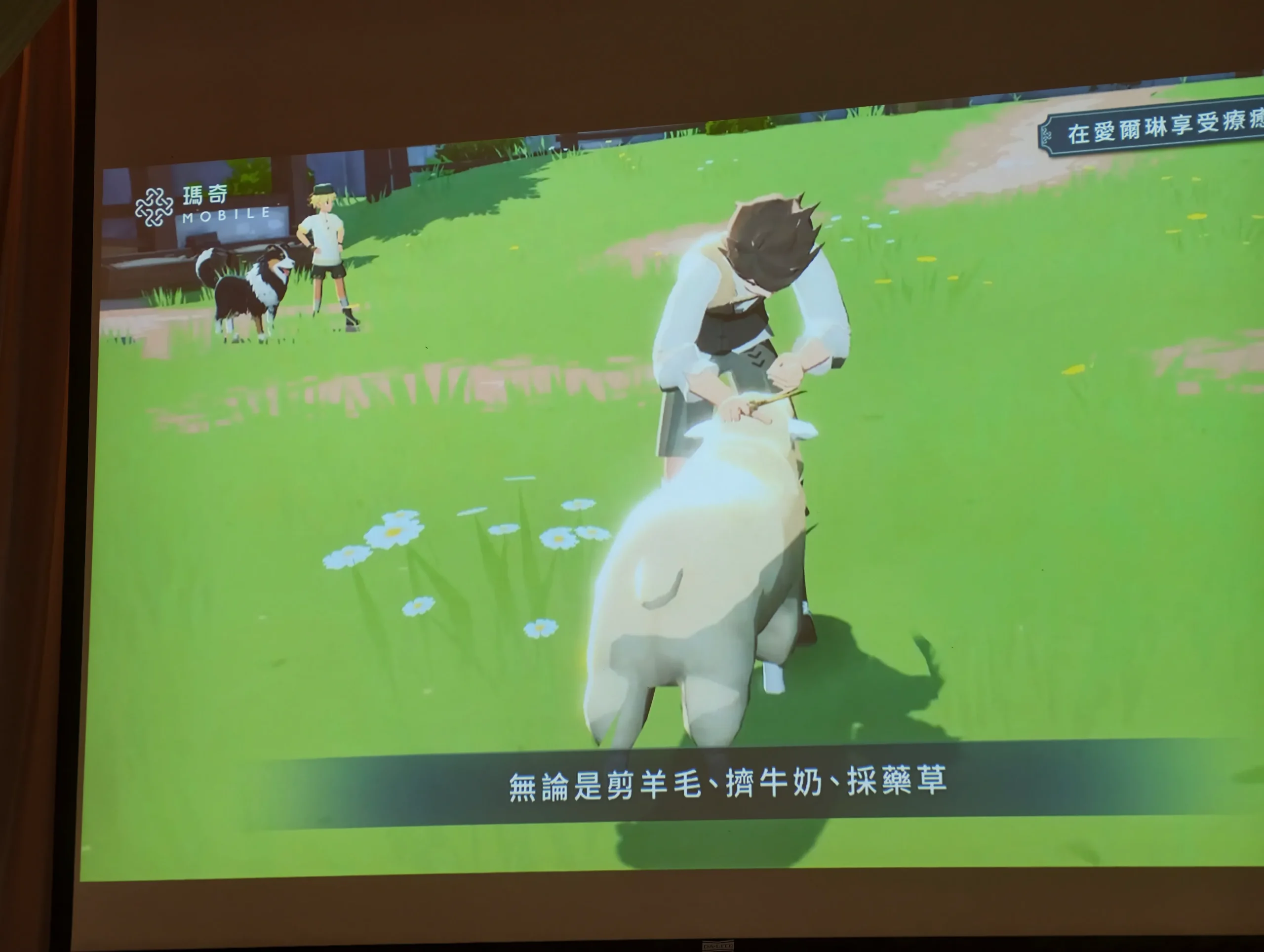 【開箱】重返記憶中的愛爾琳　與娜歐再續前緣《瑪奇 Mobile》試玩評測