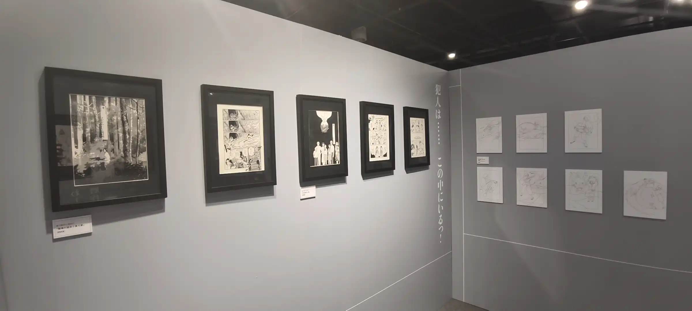 【開箱】人氣動畫《迷宮飯》「迷宮探索展」x 九井諒子展台灣站 7 月 15 日三創園區正式開展！