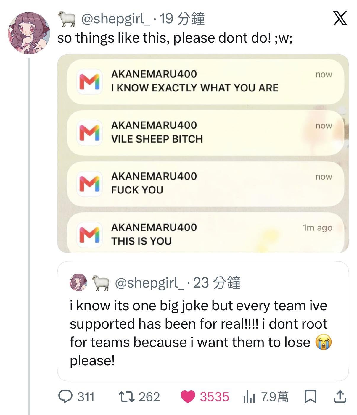 迷因淪為網路暴力!世足反指標 VTuber Essie 遭偏激網民惡毒騷擾 宣布退出賽事預測