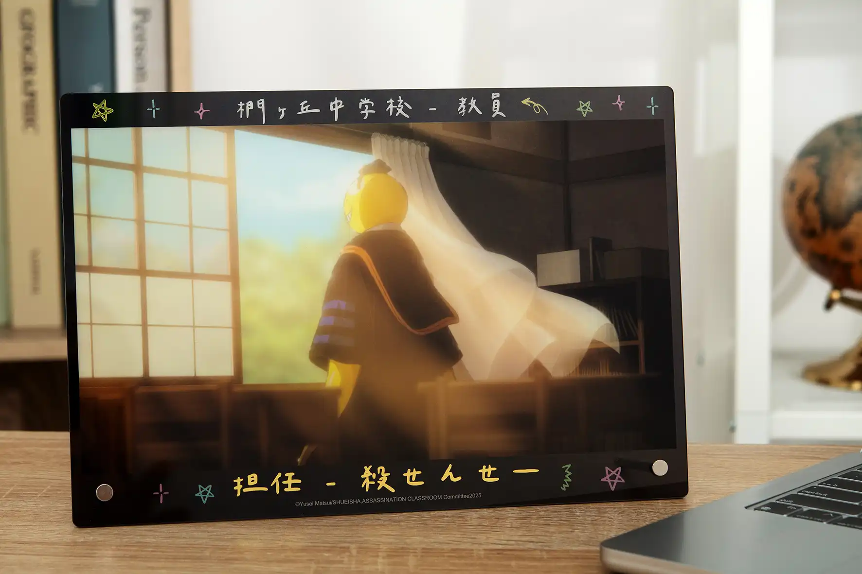 木棉花 29