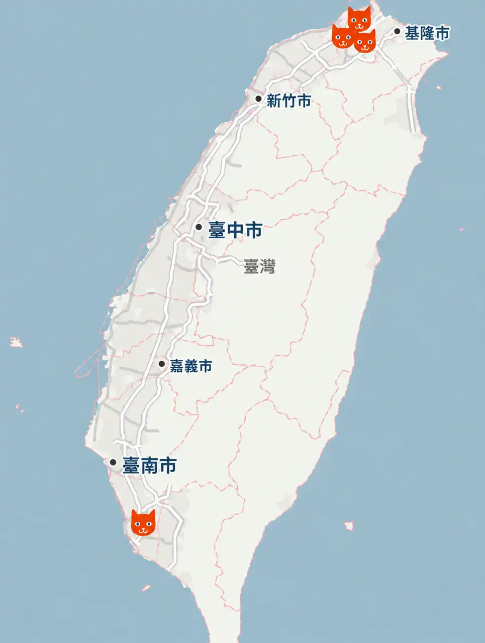 貓咪影像 2