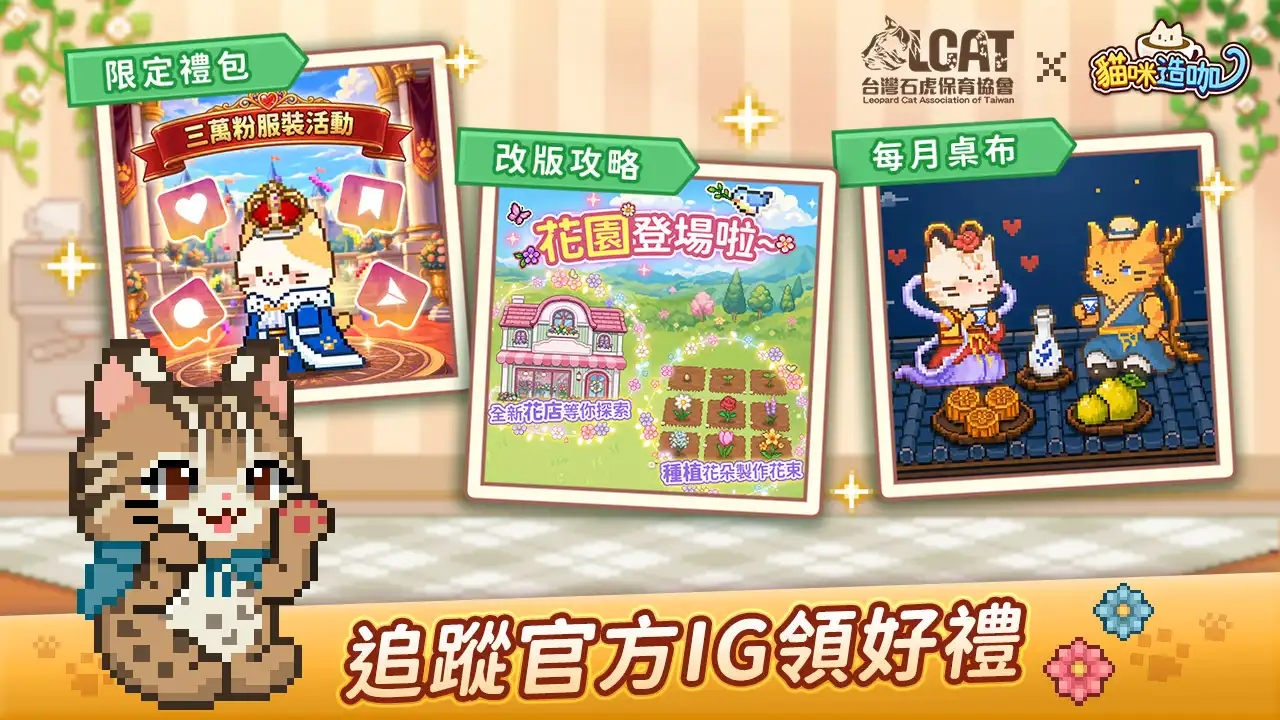 貓咪造咖 4