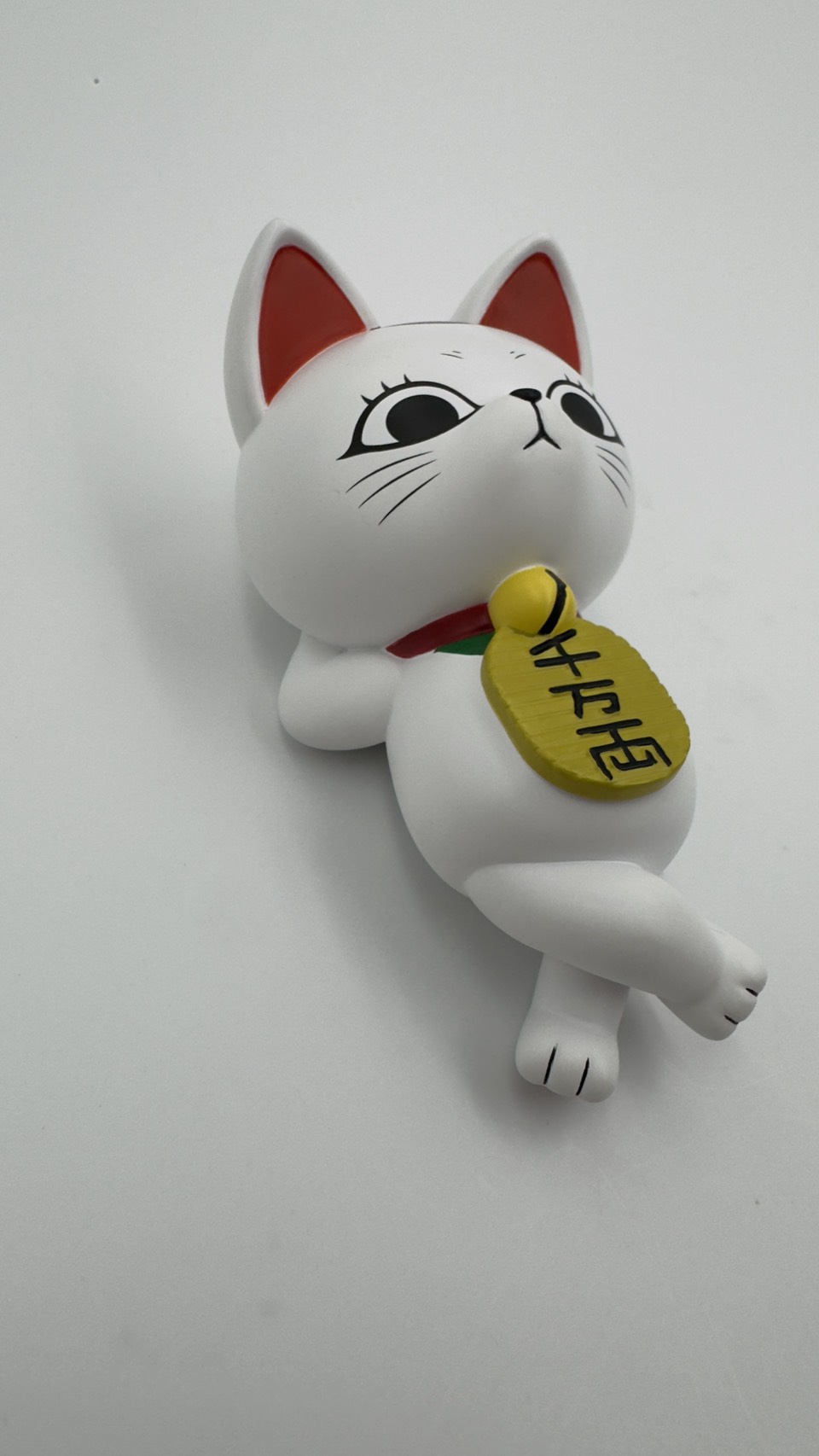 木棉花 18