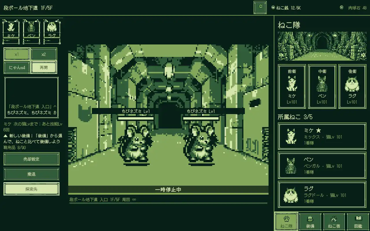 Meow Dungeon