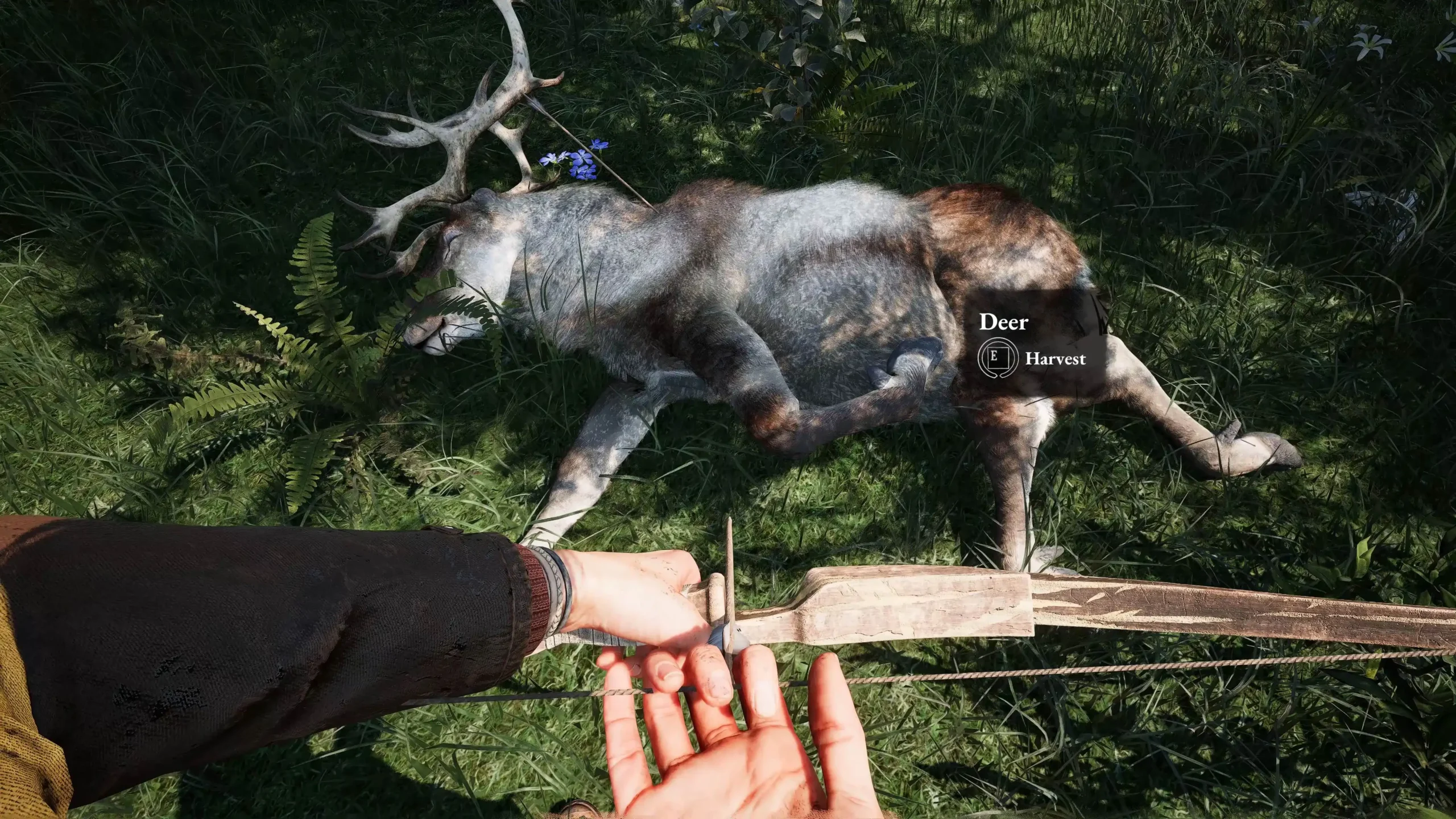 敘事冒險遊戲《黑森林迷蹤》揭開古老秘密 – 現已於 STEAM 上架