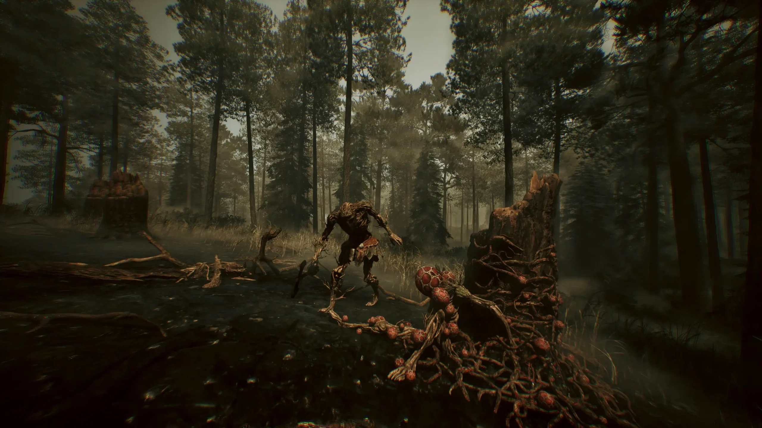 敘事冒險遊戲《黑森林迷蹤》揭開古老秘密 – 現已於 STEAM 上架
