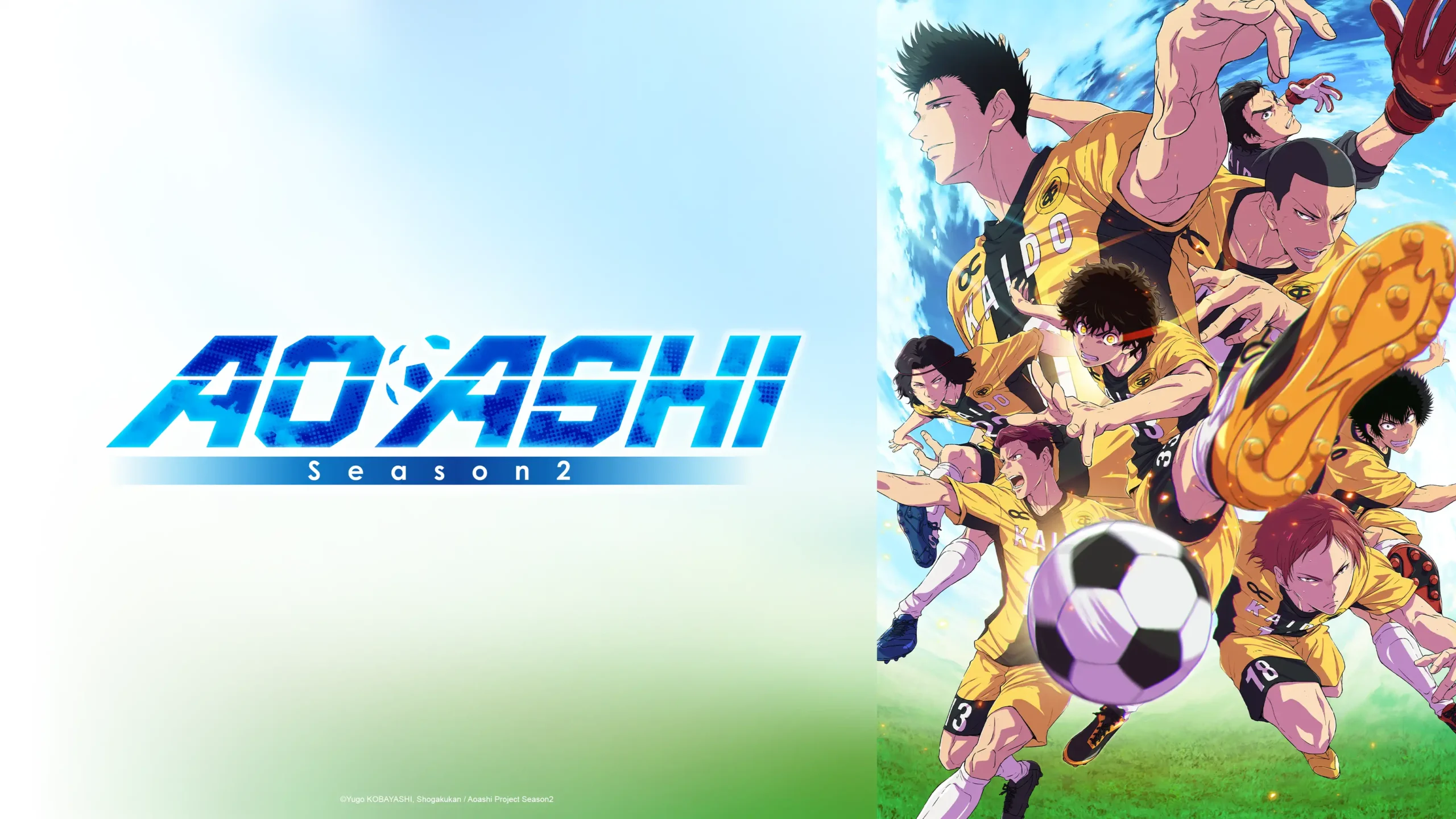 Crunchyroll  13