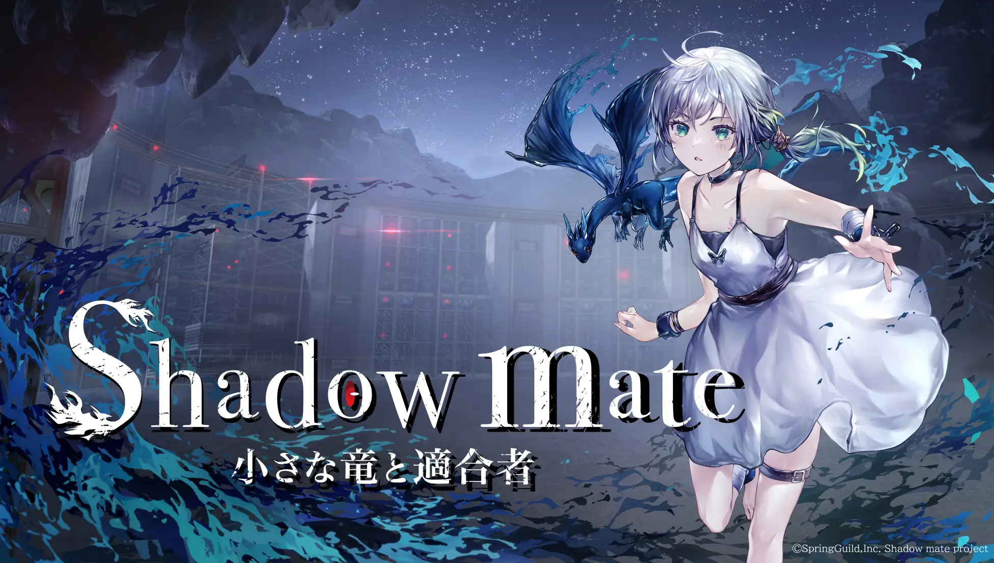 Shadow Mate