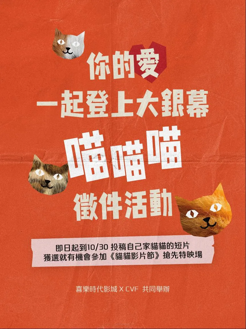 貓咪魅力連英國王室都擋不住!《貓貓影片節 2026》美國首週票房破 1,800 萬 11/6 首度登上台灣大銀幕