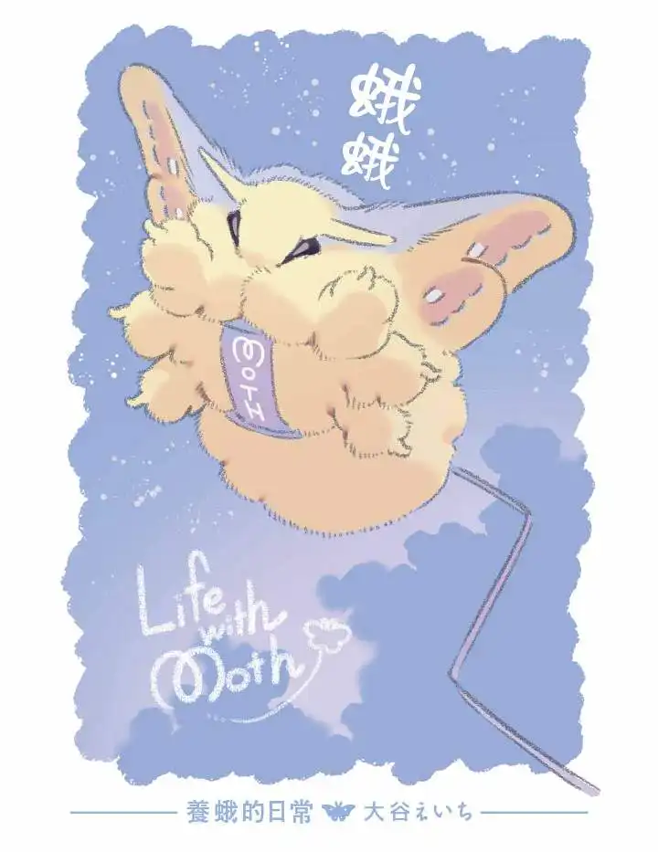 青文 6